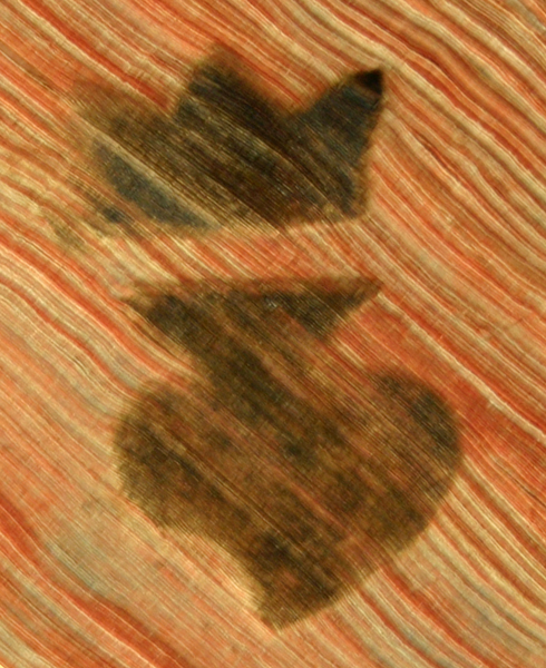 9636 mf1.jpg